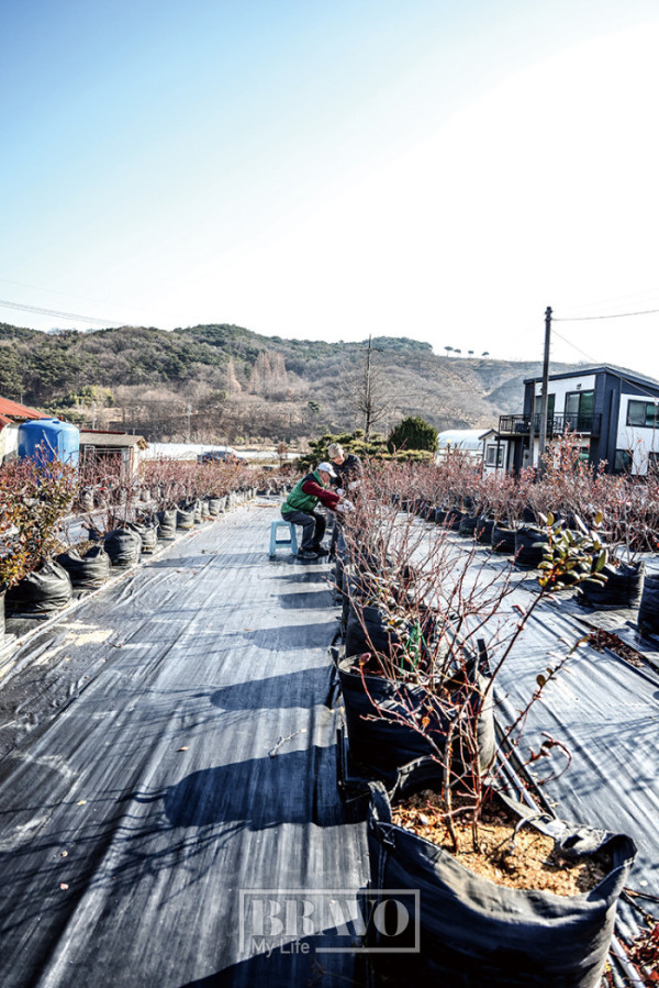 (주민욱 프리랜서)