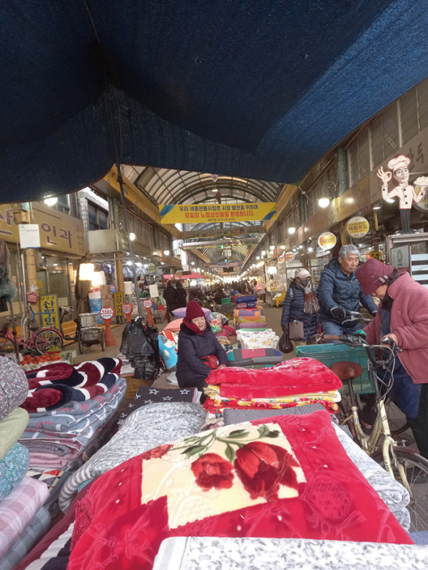 (함인희 이화여자대학교 사회학과 명예교수)