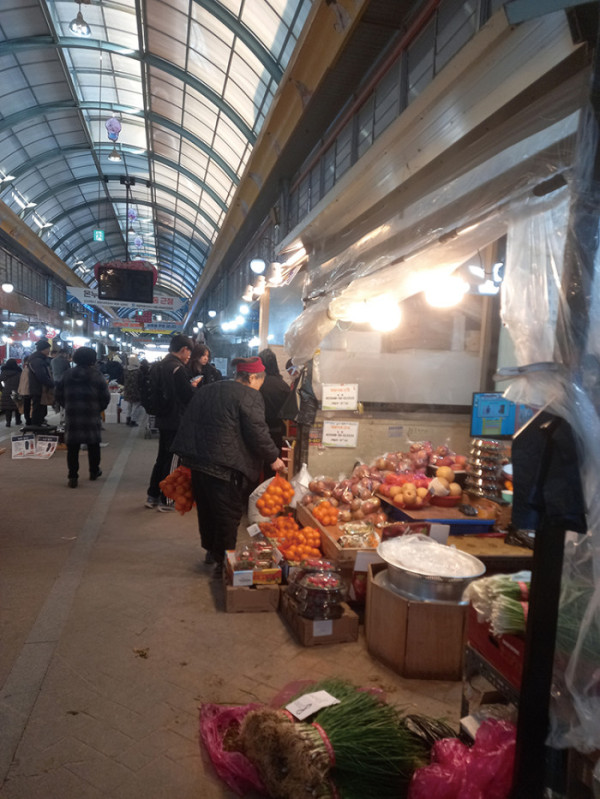 (함인희 이화여자대학교 사회학과 명예교수)