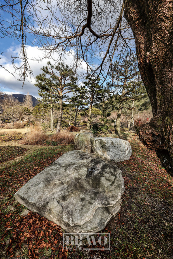 (주민욱 프리랜서)