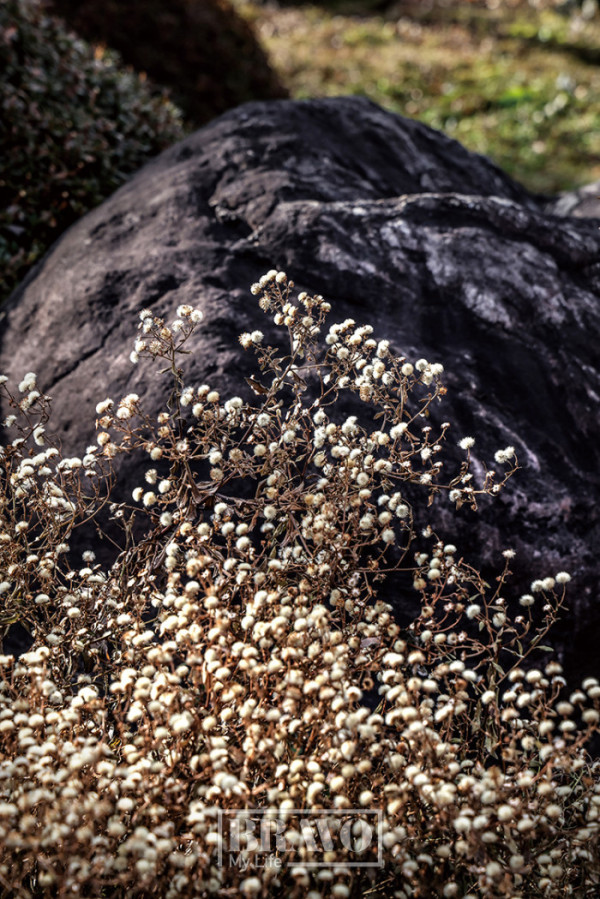 (주민욱 프리랜서)