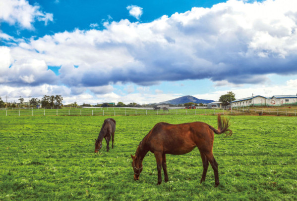 (이현숙 여행작가)