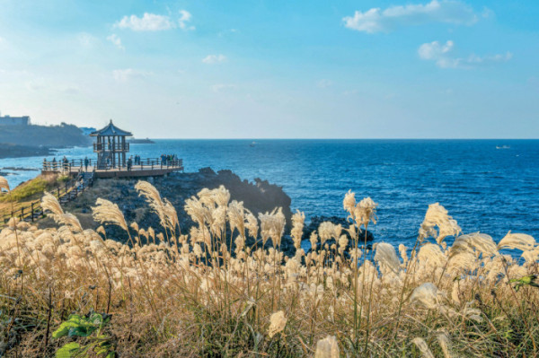 (이현숙 여행작가)