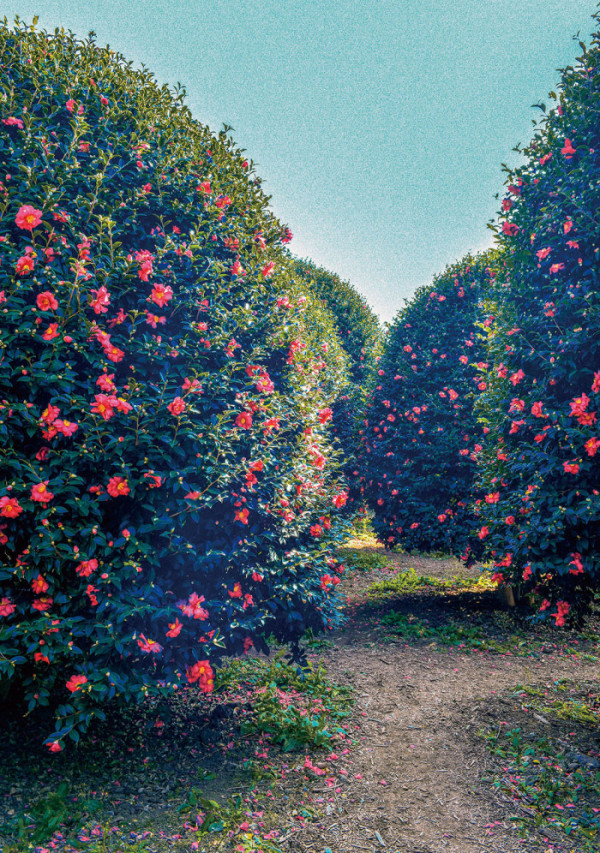 (이현숙 여행작가)