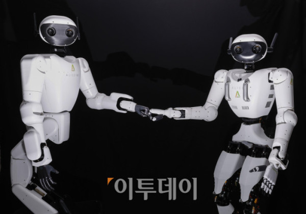 ▲AI 대전환은 소프트웨어 중심의 기술 경쟁을 넘어 실제 산업 현장으로 깊숙이 확장되고 있다. 인식과 판단을 넘어 물리적 작업을 수행하는 ‘피지컬 AI’는 제조업은 물론 조선·건설 등 고위험·고강도 산업에서 반복 공정을 대체하며 생산성과 비용 구조를 동시에 재편하는 핵심 기술로 부상했다. 새해를 앞두고 경기 안산시 에이로봇 연구소에서 휴머노이드 로봇 ‘앨리스4(오른쪽)’와 ‘앨리스 M1’이 협업을 약속하듯 주먹 인사를 하고 있다. 조현호 기자 hyunho@