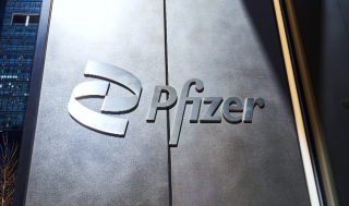 화이자, 시판 ‘TFPI 항체’ 임상(OLE)서 "환자 사망"