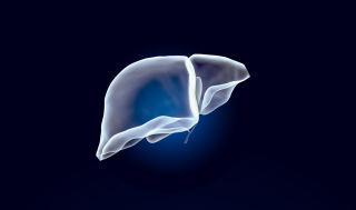 미럼, 블루제이 8.2억弗 인수..‘D형간염 항체’ 3상 개발