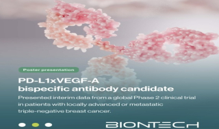 바이오엔텍, ‘PD-L1xVEGF’ TNBC 2상 &quot;ORR 61.5%&quot;