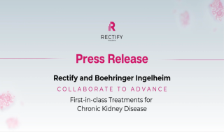 베링거, 렉티파이와 CKD ‘ABCC6 강화제’ 4.48억弗 딜