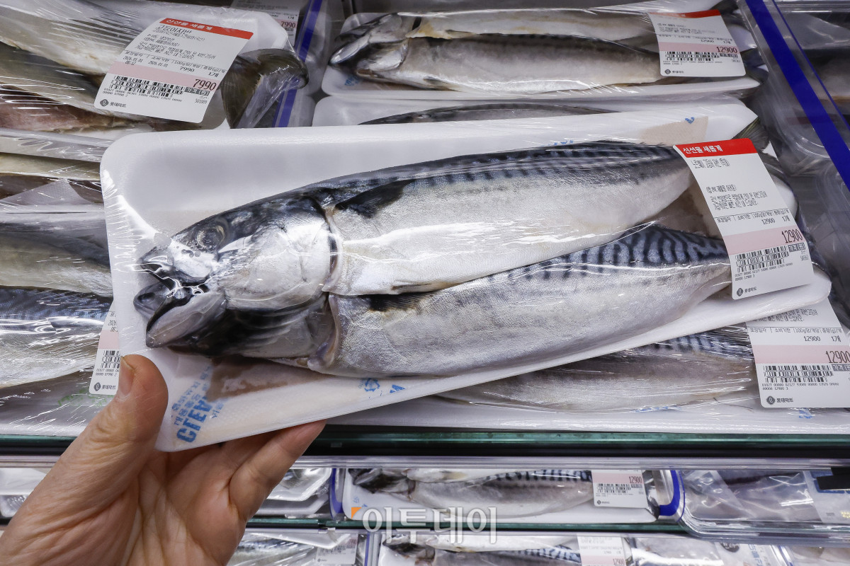 ▲국민 생선인 고등어가 가파른 가격 상승세를 보이고 있다. 1일 한국농수산식품유통공사 집계에 따르면 수입산 염장(대) 고등어 한 손 소매가격은 작년 12월 평균 1만363원으로 1만원을 넘어섰다. 이는 한 달 전(9828원)보다 500원 이상 상승하고, 전년 같은 기간(8천48원)보다 2천원 넘게 상승한 금액이다. 이날 서울 시내 한 대형마트에 고등어가 진열되어 있다. 조현호 기자 hyunho@