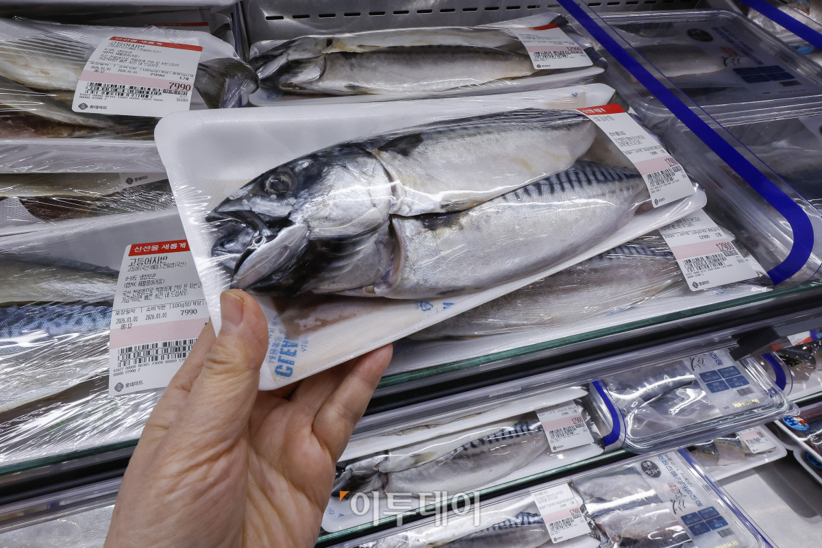 ▲국민 생선인 고등어가 가파른 가격 상승세를 보이고 있다. 1일 한국농수산식품유통공사 집계에 따르면 수입산 염장(대) 고등어 한 손 소매가격은 작년 12월 평균 1만363원으로 1만원을 넘어섰다. 이는 한 달 전(9828원)보다 500원 이상 상승하고, 전년 같은 기간(8천48원)보다 2천원 넘게 상승한 금액이다. 이날 서울 시내 한 대형마트에 고등어가 진열되어 있다. 조현호 기자 hyunho@