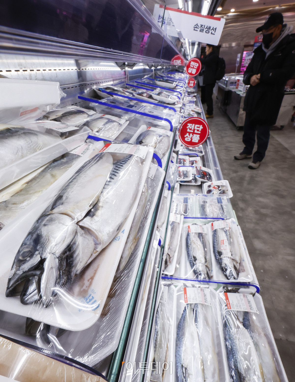 ▲국민 생선인 고등어가 가파른 가격 상승세를 보이고 있다. 1일 한국농수산식품유통공사 집계에 따르면 수입산 염장(대) 고등어 한 손 소매가격은 작년 12월 평균 1만363원으로 1만원을 넘어섰다. 이는 한 달 전(9828원)보다 500원 이상 상승하고, 전년 같은 기간(8천48원)보다 2천원 넘게 상승한 금액이다. 이날 서울 시내 한 대형마트에 고등어가 진열되어 있다. 조현호 기자 hyunho@