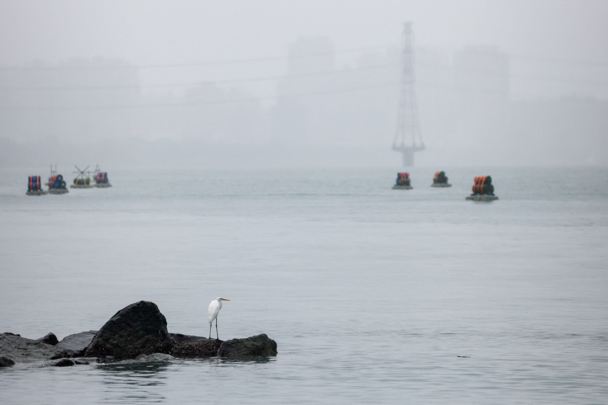 ▲2025년 12월 31일 대만 타이베이에서 중국이 대만 주변에서 군사 훈련을 실시함에 따라 대만군이 실시한 일련의 비상 전투 준비 훈련의 일환으로, 폭발성 통이 배치된 배경에 새 한 마리가 담수이 강 바위 위에 서 있다. 타이베이/로이터연합뉴스