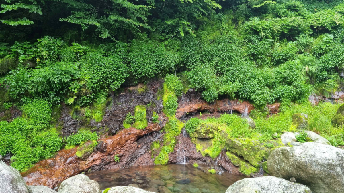 ▲화산암층과 용천수 근경 (사진제공=국가유산청)