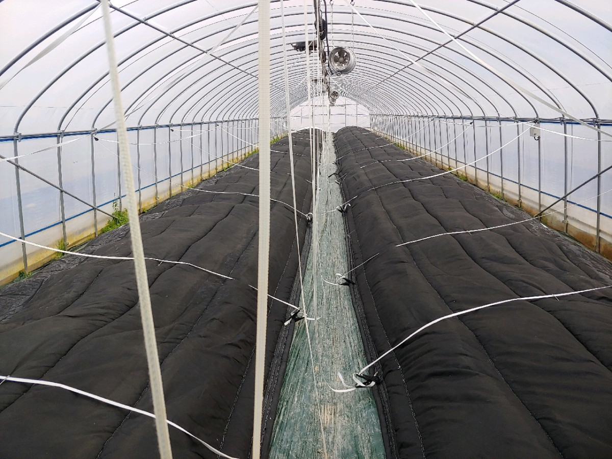 ▲언 피해 예방을 위해 보온 덮개를 덮어둔 시설온실 모습 (사진제공=농촌진흥청)