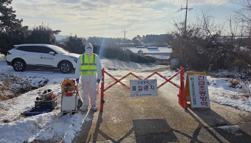 ▲조류인플루엔자 방역 (연합뉴스)