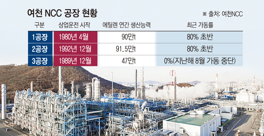 ▲그래픽=손미경 기자 (.)