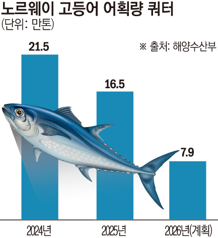(그래픽=손미경 기자 sssmk@)