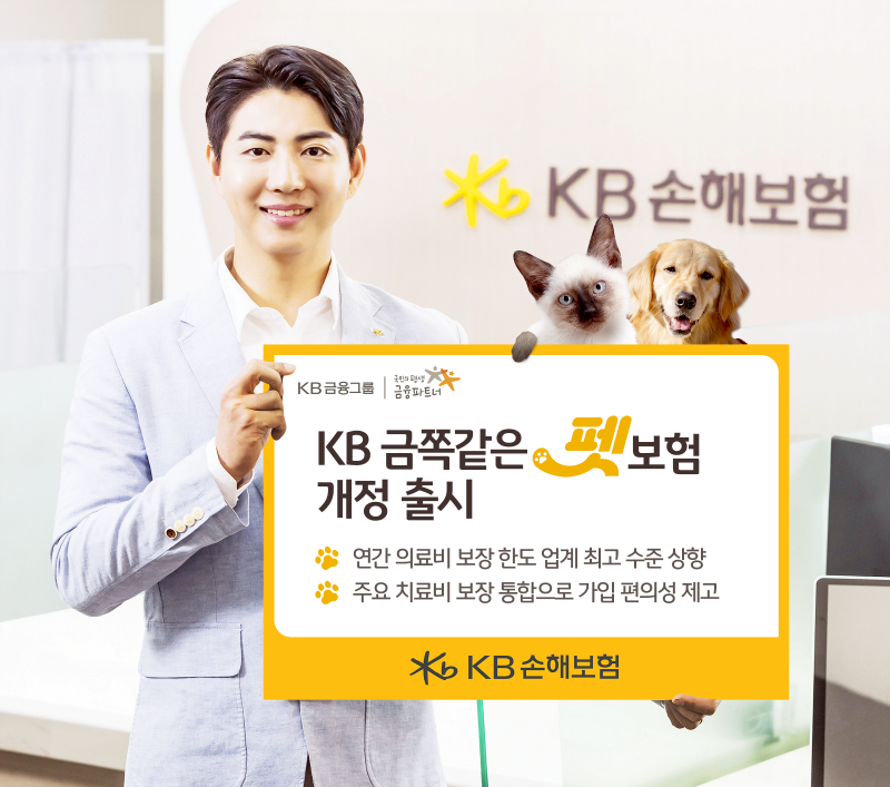 (제공 KB손해보험)
