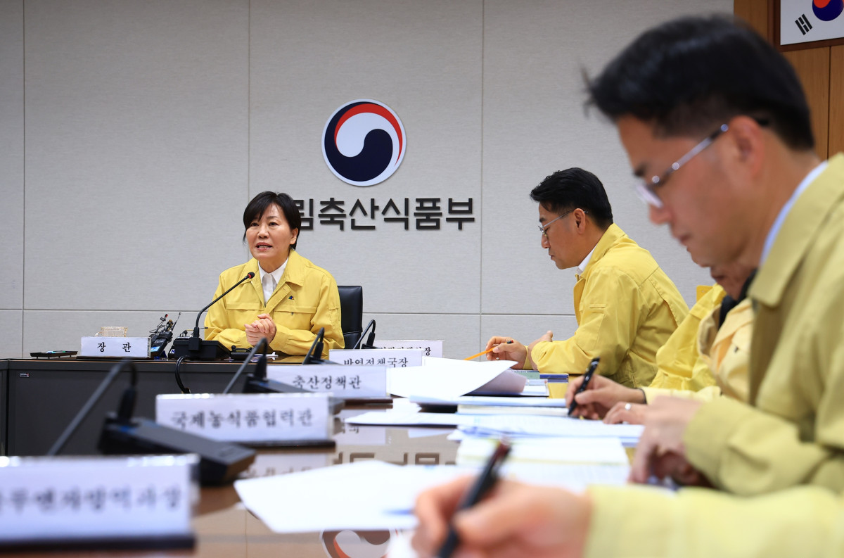 감염력 10배 AI 확산 비상…정부, 1월 한 달 ‘전국 방역 총력전’