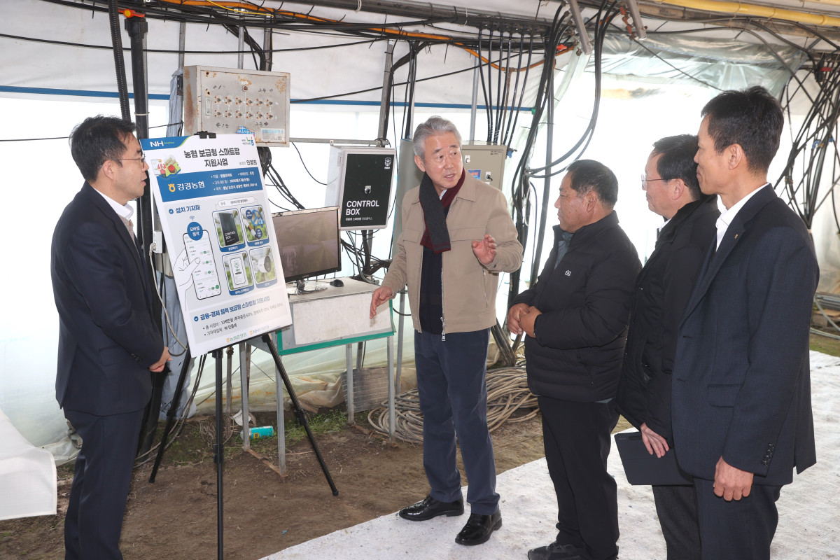 ▲강호동 농협중앙회장(왼쪽에서 두 번째)이 5일 충남 논산 보급형 스마트팜 농가를 찾아 현장의 목소리를 듣고 있다. (사진제공=농협중앙회)