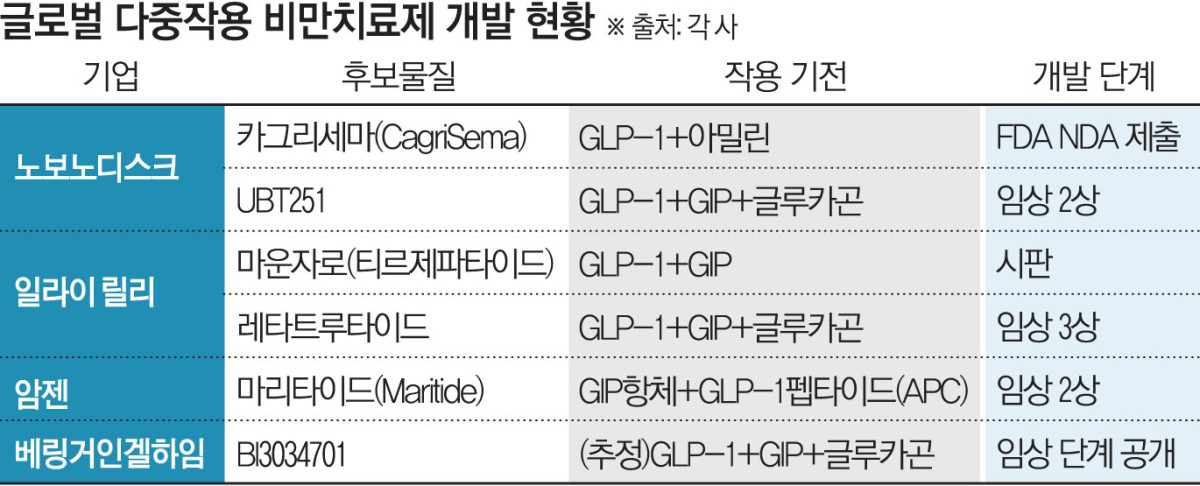 (그래픽=김소영 기자 sue@)