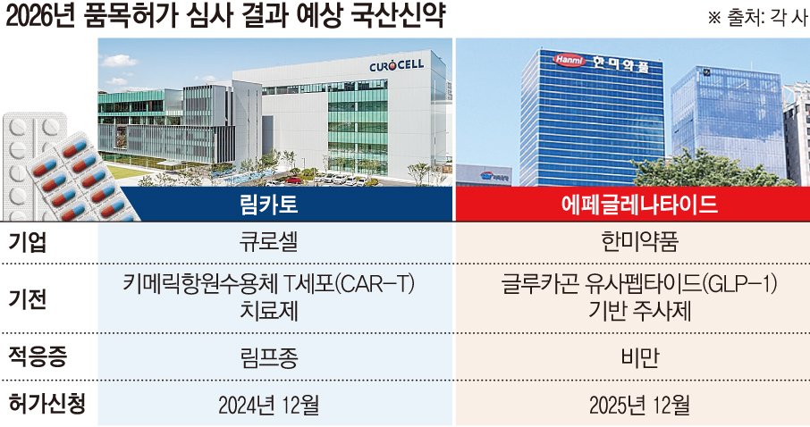 (그래픽=손미경 기자 sssmk@)