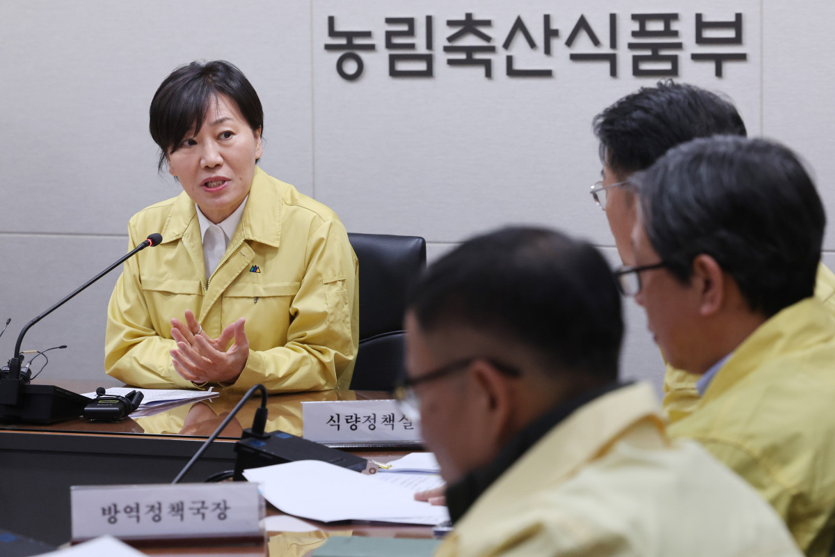 ▲송미령 농림축산식품부 장관이 5일 정부세종청사 농식품부 재난상황실에서 고병원성 조류인플루엔자(AI) 중앙사고수습본부 회의를 주재하고 있다. (연합뉴스)