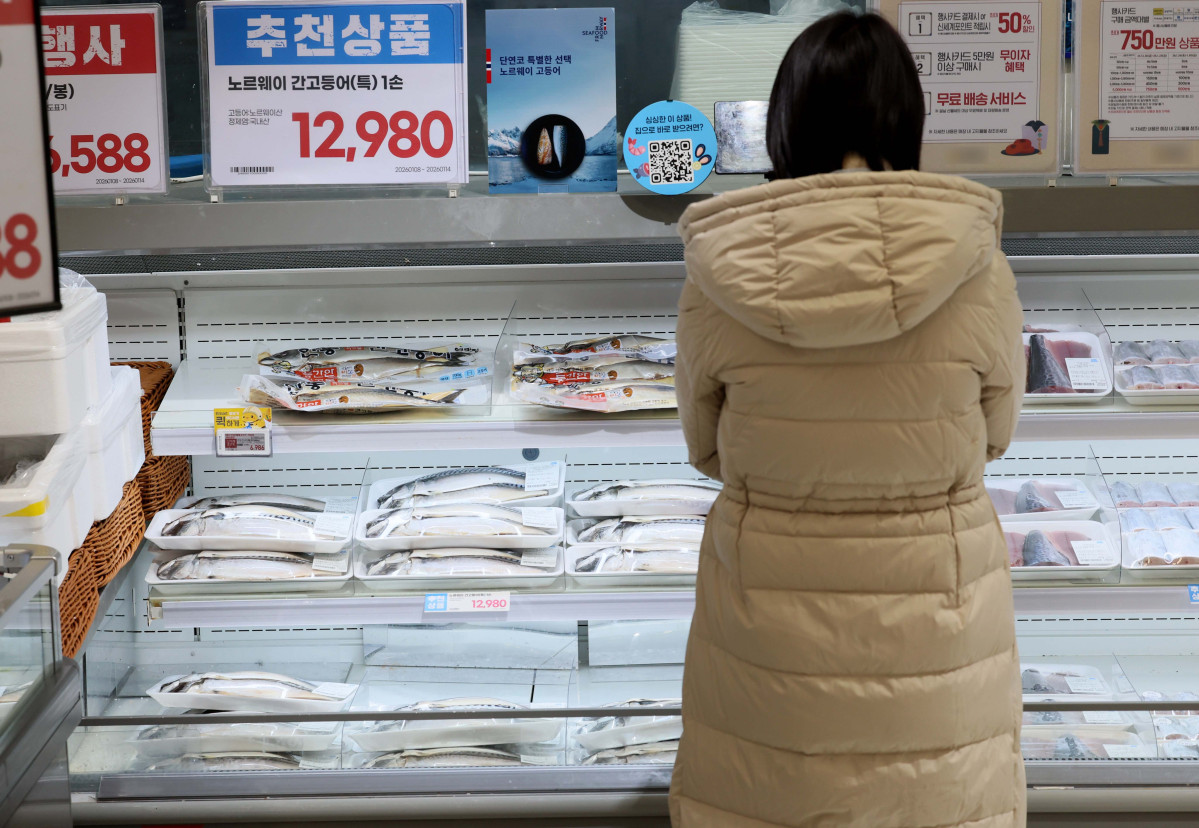 ▲고등어 가격이 치솟자 정부가 연초부터 비축 물량을 방출하고 대형마트를 통해 최대 60% 할인행사에 나서기로 했다. 해양수산부는 ‘대한민국 수산대전-고등어 특별 할인전’을 8일부터 25일 까지 진행한다. 이번 행사엔 이마트와 하나로마트, 롯데마트, 메가마트 등 19개 사가 참여해 오프라인으로 진행되며, 소비자는 행사 기간 한 사람에 1만 원 한도로 30~60%까지 할인된 가격에 고등어를 구매할 수 있다. 아울러 해수부는 이달부터 정부 비축 고등어 2000여 톤을 방출해 가격 안정 효과를 높이겠다고 밝혔다. 한국농수산식품유통공사(aT)에 따르면 수입산 염장(대) 고등어 한 손 소매가격은 지난해 12월 평균 1만 363원으로 1만 원을 넘어섰다. 1년간 28.8% 올랐고 2년 전(6803원)과 비교하면 1.5배로 뛰었다. 이날 서울의 한 대형마트에 고등어가 진열돼 있다. 신태현 기자 holjjak@