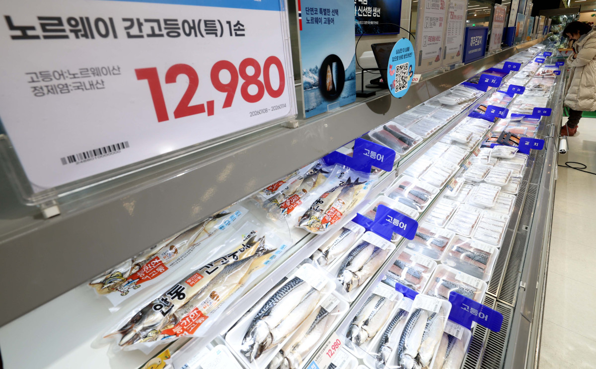 ▲고등어 가격이 치솟자 정부가 연초부터 비축 물량을 방출하고 대형마트를 통해 최대 60% 할인행사에 나서기로 했다. 해양수산부는 ‘대한민국 수산대전-고등어 특별 할인전’을 8일부터 25일 까지 진행한다. 이번 행사엔 이마트와 하나로마트, 롯데마트, 메가마트 등 19개 사가 참여해 오프라인으로 진행되며, 소비자는 행사 기간 한 사람에 1만 원 한도로 30~60%까지 할인된 가격에 고등어를 구매할 수 있다. 아울러 해수부는 이달부터 정부 비축 고등어 2000여 톤을 방출해 가격 안정 효과를 높이겠다고 밝혔다. 한국농수산식품유통공사(aT)에 따르면 수입산 염장(대) 고등어 한 손 소매가격은 지난해 12월 평균 1만 363원으로 1만 원을 넘어섰다. 1년간 28.8% 올랐고 2년 전(6803원)과 비교하면 1.5배로 뛰었다. 이날 서울의 한 대형마트에 고등어가 진열돼 있다. 신태현 기자 holjjak@