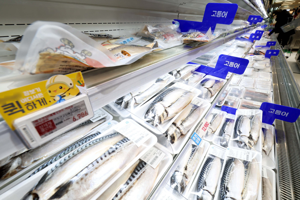 ▲고등어 가격이 치솟자 정부가 연초부터 비축 물량을 방출하고 대형마트를 통해 최대 60% 할인행사에 나서기로 했다. 해양수산부는 ‘대한민국 수산대전-고등어 특별 할인전’을 8일부터 25일 까지 진행한다. 이번 행사엔 이마트와 하나로마트, 롯데마트, 메가마트 등 19개 사가 참여해 오프라인으로 진행되며, 소비자는 행사 기간 한 사람에 1만 원 한도로 30~60%까지 할인된 가격에 고등어를 구매할 수 있다. 아울러 해수부는 이달부터 정부 비축 고등어 2000여 톤을 방출해 가격 안정 효과를 높이겠다고 밝혔다. 한국농수산식품유통공사(aT)에 따르면 수입산 염장(대) 고등어 한 손 소매가격은 지난해 12월 평균 1만 363원으로 1만 원을 넘어섰다. 1년간 28.8% 올랐고 2년 전(6803원)과 비교하면 1.5배로 뛰었다. 이날 서울의 한 대형마트에 고등어가 진열돼 있다. 신태현 기자 holjjak@