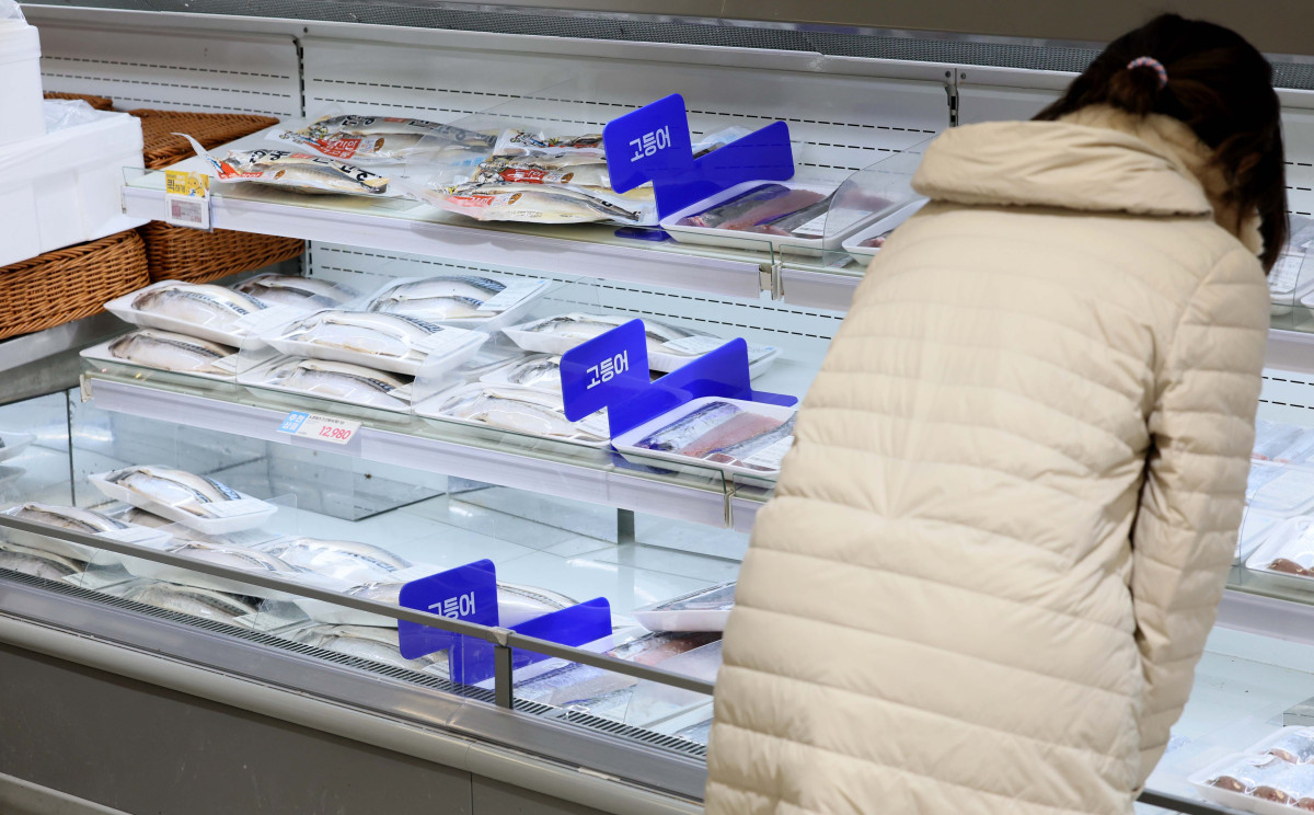 ▲고등어 가격이 치솟자 정부가 연초부터 비축 물량을 방출하고 대형마트를 통해 최대 60% 할인행사에 나서기로 했다. 해양수산부는 ‘대한민국 수산대전-고등어 특별 할인전’을 8일부터 25일 까지 진행한다. 이번 행사엔 이마트와 하나로마트, 롯데마트, 메가마트 등 19개 사가 참여해 오프라인으로 진행되며, 소비자는 행사 기간 한 사람에 1만 원 한도로 30~60%까지 할인된 가격에 고등어를 구매할 수 있다. 아울러 해수부는 이달부터 정부 비축 고등어 2000여 톤을 방출해 가격 안정 효과를 높이겠다고 밝혔다. 한국농수산식품유통공사(aT)에 따르면 수입산 염장(대) 고등어 한 손 소매가격은 지난해 12월 평균 1만 363원으로 1만 원을 넘어섰다. 1년간 28.8% 올랐고 2년 전(6803원)과 비교하면 1.5배로 뛰었다. 이날 서울의 한 대형마트에 고등어가 진열돼 있다. 신태현 기자 holjjak@