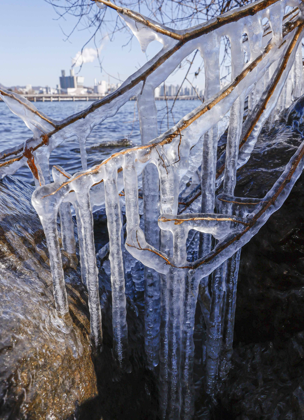 ▲조현호 기자 hyunho@ (이투데이DB)