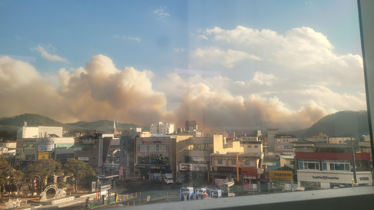 ▲10일 오후 3시 14분께 경북 의성군 의성읍 비봉리 산에서 불이 났다. (연합뉴스)
