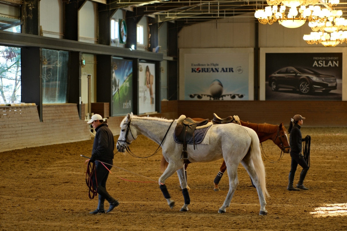 ▲세계 100대 명문 승마 아카데미 '스티븐 승마 클럽' (사진제공=롯데쇼핑)