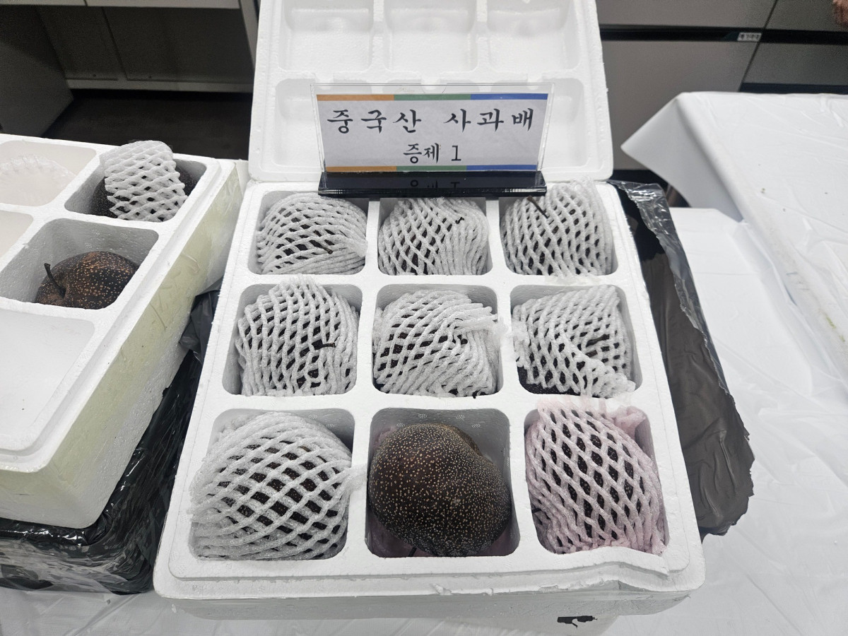 ▲중국산 사과배(수입금지품) 적발 관련 사진 (사진제공=농림축산식품부)