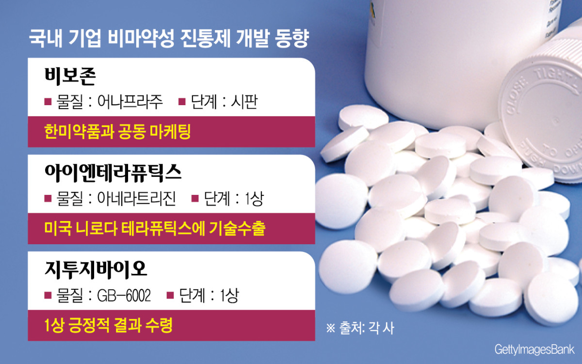 (그래픽=신미영 기자 win8226@)