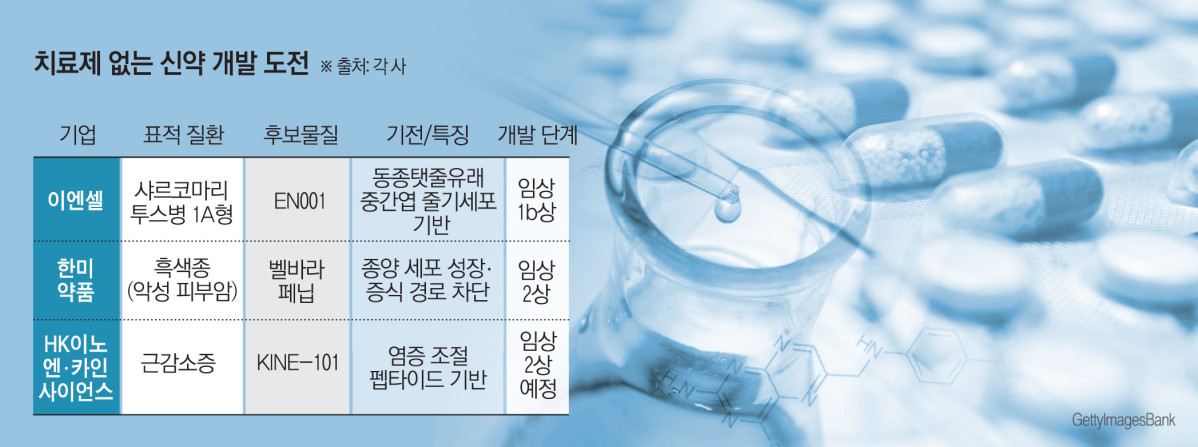 (그래픽=김소영 기자 sue@)