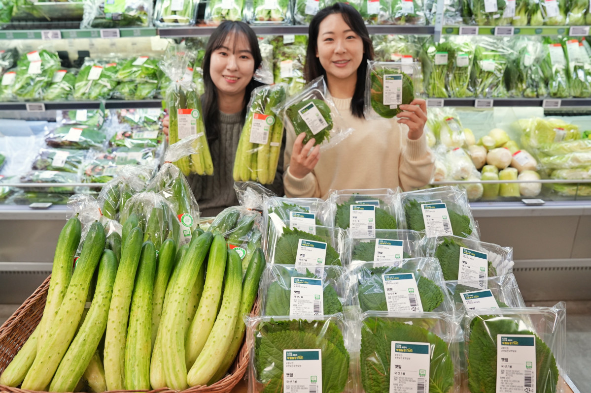 ▲서울시 송파구에 위치한 롯데마트 제타플렉스 잠실점에서 스마트팜 채소를 홍보하고 있다. (사진제공=롯데쇼핑)