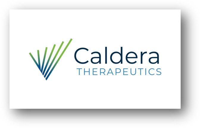 ‘릴리 피인수’ 모픽팀 창업 칼데라, 1.125억弗 펀딩 “출범”