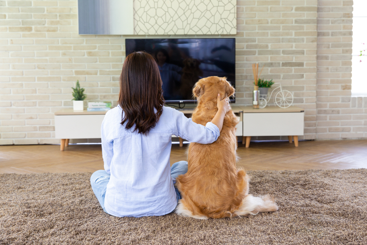 ▲여성의 뒷모습과 반려견이 보인다.  (출처 게티이미지뱅크)