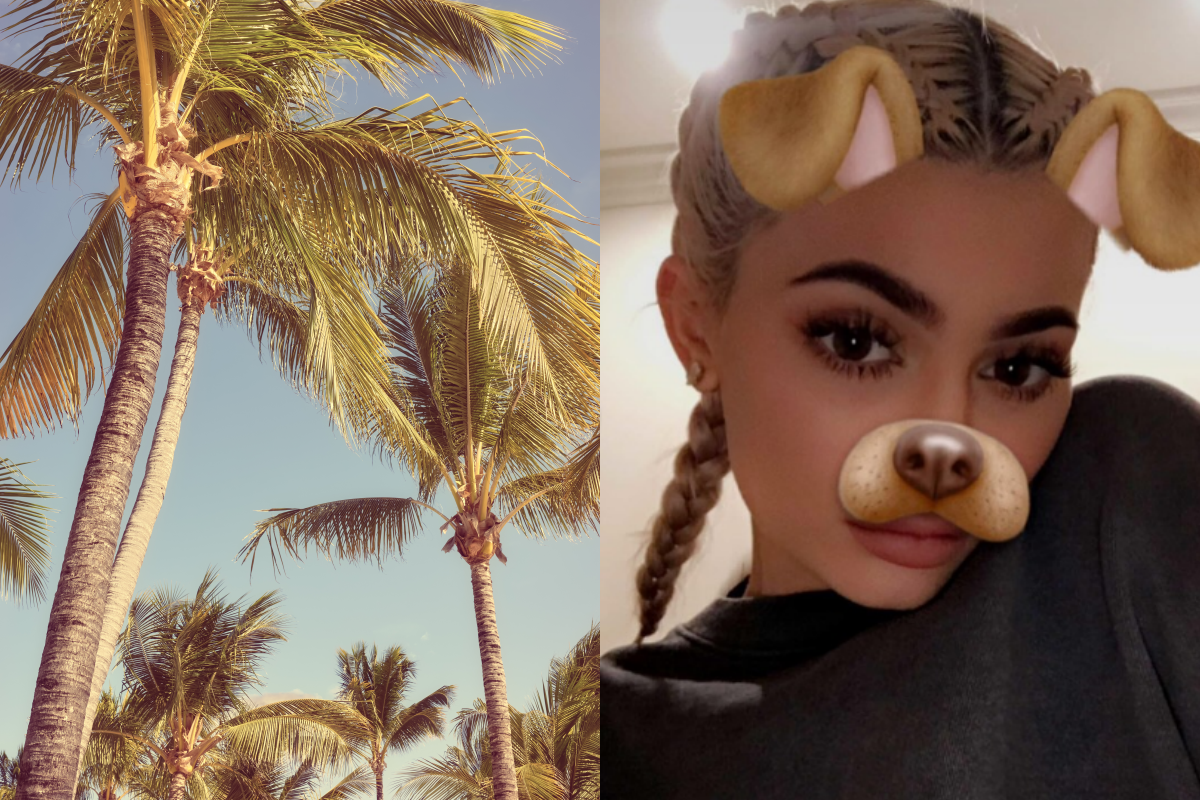 ▲(출처=게티이미지뱅크, 카일리 제너 인스타그램)