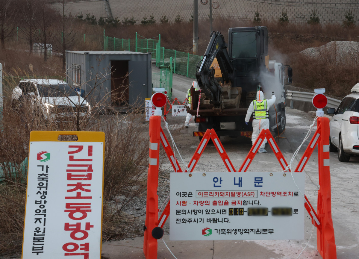 ▲17일 아프리카돼지열병(ASF) 발생이 확인된 강원 강릉시 한 양돈농가에서 방역 관계자들이 출입을 통제하고 있다. (연합뉴스)