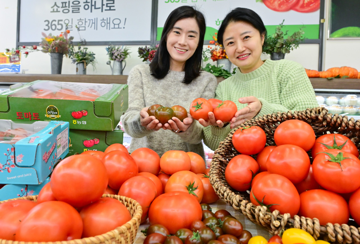 ▲18일 서울 서초구 하나로마트 양재점에서 모델들이 겨울철 면역력 강화에 좋은 토마토를 선보이고 있다. (사진제공=농협유통)