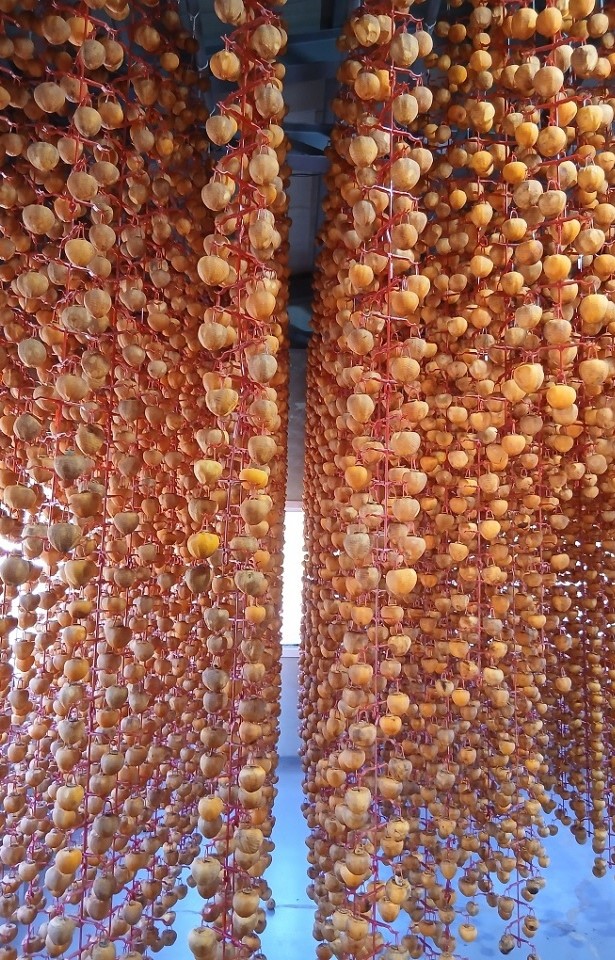 ▲전남 순천시의 고소득 전략작목인 곶감. (사진제공=순천시)