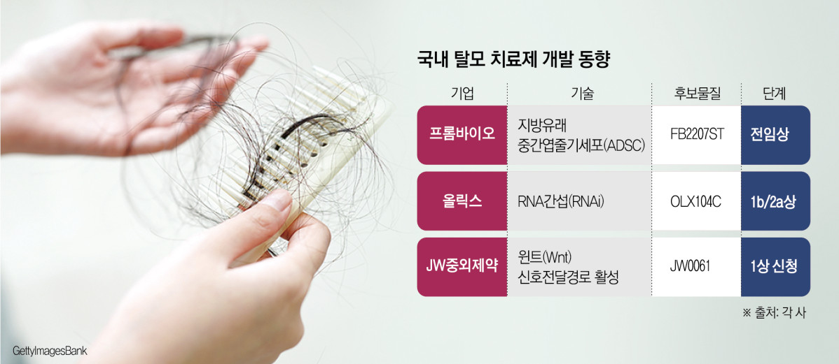 (그래픽=신미영 기자 win8226@)