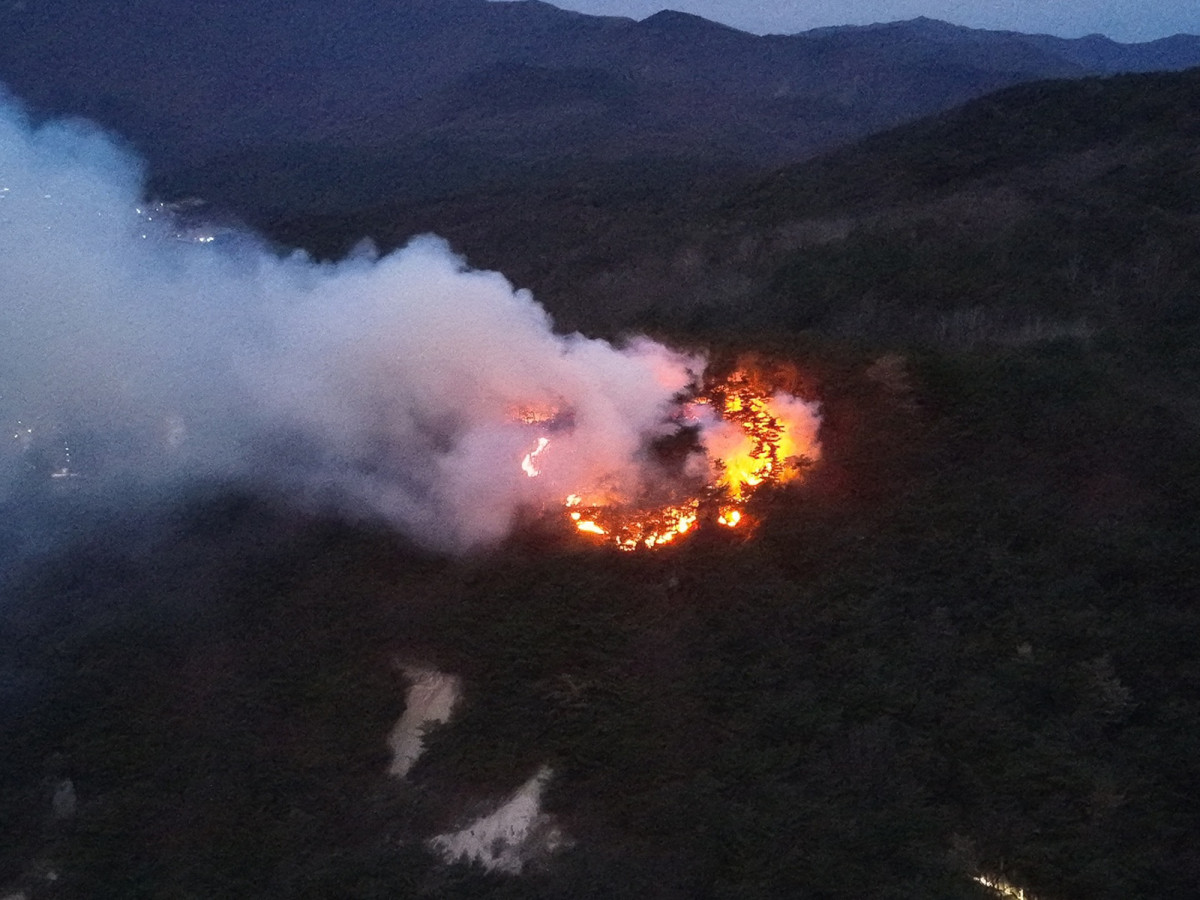 ▲울산 울주군 산불 진화…'실화 가능성' (사진제공=울산소방본부)