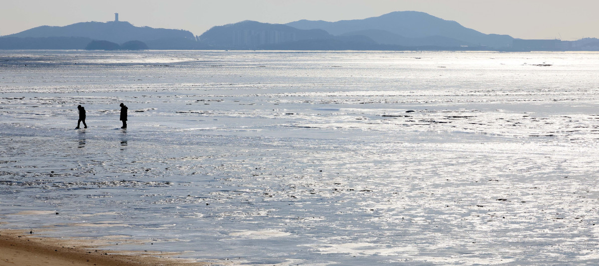 ▲절기상 대한(大寒)이자 서울 아침 최저기온이 영하 13도를 기록하는 등 전국에 한파특보가 내려진 20일 인천 강화군 동막해변이 얼어붙어 있다. 신태현 기자 holjjak@