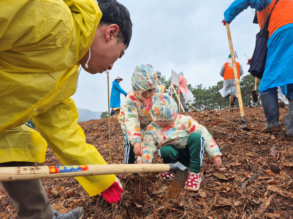 ▲지난해 충청남도 공주시에서 열린 식목일 행사에서 참가자들이 나무를 심고 있다. (사진제공=산림청)