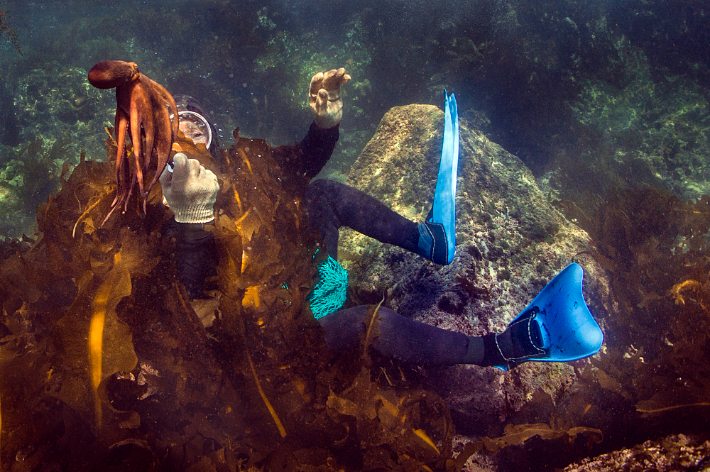 ▲제주 가파도 해녀. (사진제공=유용예 사진작가)